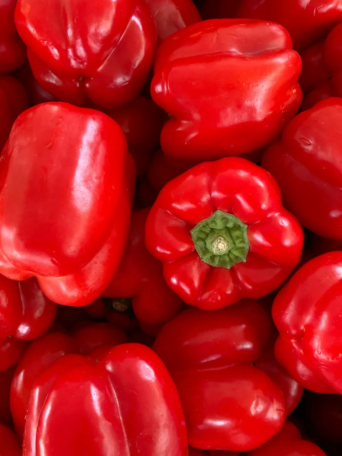 A dense pile of glossy, fully ripened red sweet peppers.